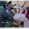 Cheval à bâton